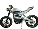 bicicletta-elettrica-egobike