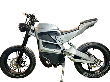 Bicicletta elettrica EGOBIKE