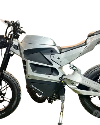 Bicicletta elettrica EGOBIKE