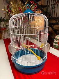 Gabbia uccelli