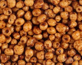 Esca da pesca carpfishing