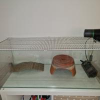 Teca per tartaruga/pesci