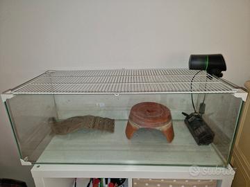 Teca per tartaruga/pesci