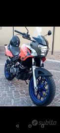 aprilia pegaso