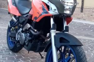 aprilia pegaso