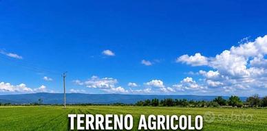 Terreno agricolo Trieste