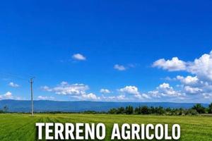 Terreno agricolo Trieste