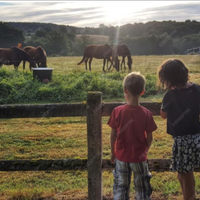 Terreni agricoli ,piccole attività o investimento
