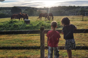 Terreni agricoli ,piccole attività o investimento