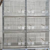 Batteria per uccelli