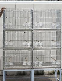 Batteria per uccelli