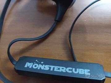 AURICOLARI WIRELESS SPORT