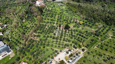 TER. AGRICOLO A PISTOIA