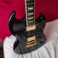 SG Harley benton gotoh 