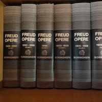  Freud 