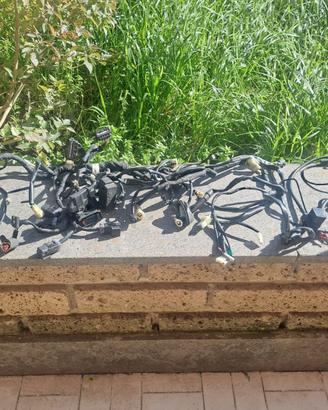 Impianto elettrico funzionante Ktm Duke 690 mod 17