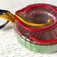 Trasformatore toroidale Lario Electric 120 VA 50Hz