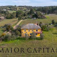 Monti | Villa indipendente con vigneto a venti min