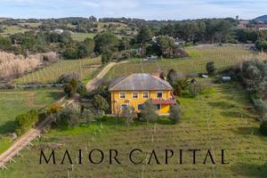 Monti | Villa indipendente con vigneto a venti min