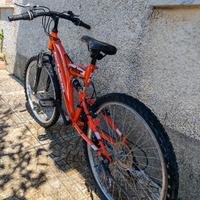 Bici MTB Schiano