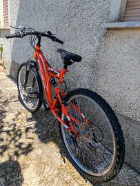 Bici MTB Schiano