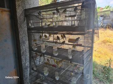 batteria gabbie da 120cm