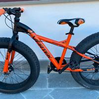 Fat bike ragazzo Vertek