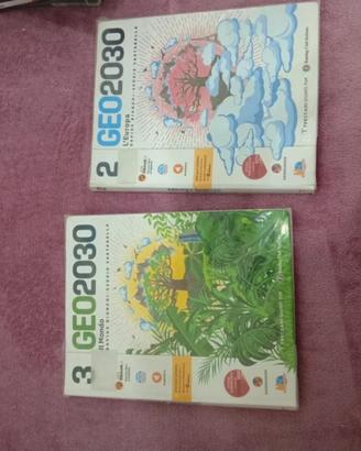 Libri di geografia: GEO2030