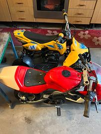Mimimoto e quad