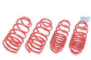 KIT MOLLE SPORTIVE PER NISSAN