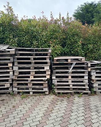 Svendita 40 bancali