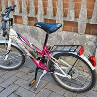 bicicletta ruote 20 pollici