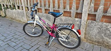 bicicletta ruote 20 pollici