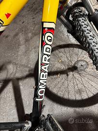 Bicicletta LOMBARDO