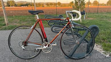 Bici da corsa wilier triestina ramata