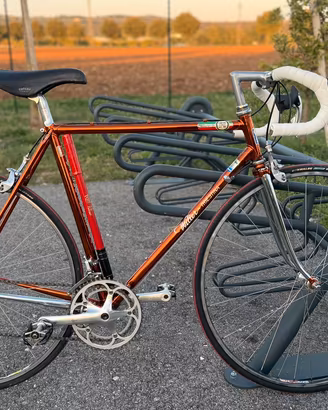 Bici da corsa wilier triestina ramata