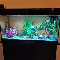 acquario askol con mobile due ante
