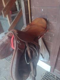 Selle inglesi da scuola