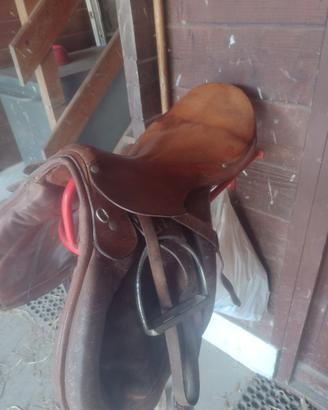 Selle inglesi da scuola
