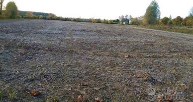 Vendita all'asta - terreno agricolo in data 13 gen