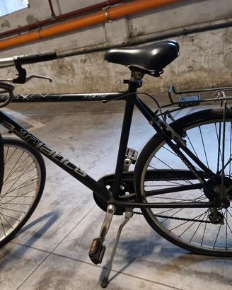 Bicicletta Adriatica Uomo