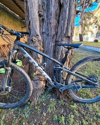 TREK Top Fuel 7 Gen 3 2023
