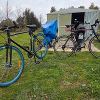 Biciclette nuove mountain bike e scatto fisso