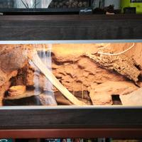 Terrario 80x45x45