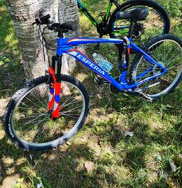 Bicicletta