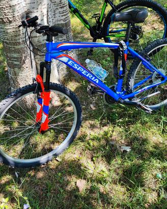 Bicicletta