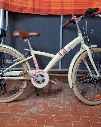 Bicicletta