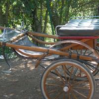 CALESSE per CAVALLO