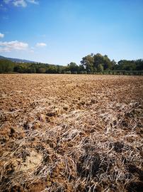 Terreno agricolo Sessa Aurunca 