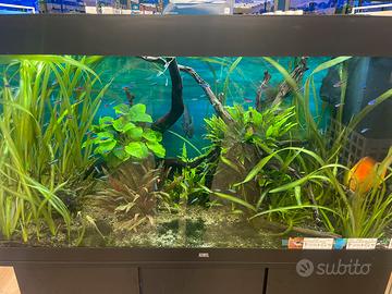 Acquario Juwel Rio 180 Led